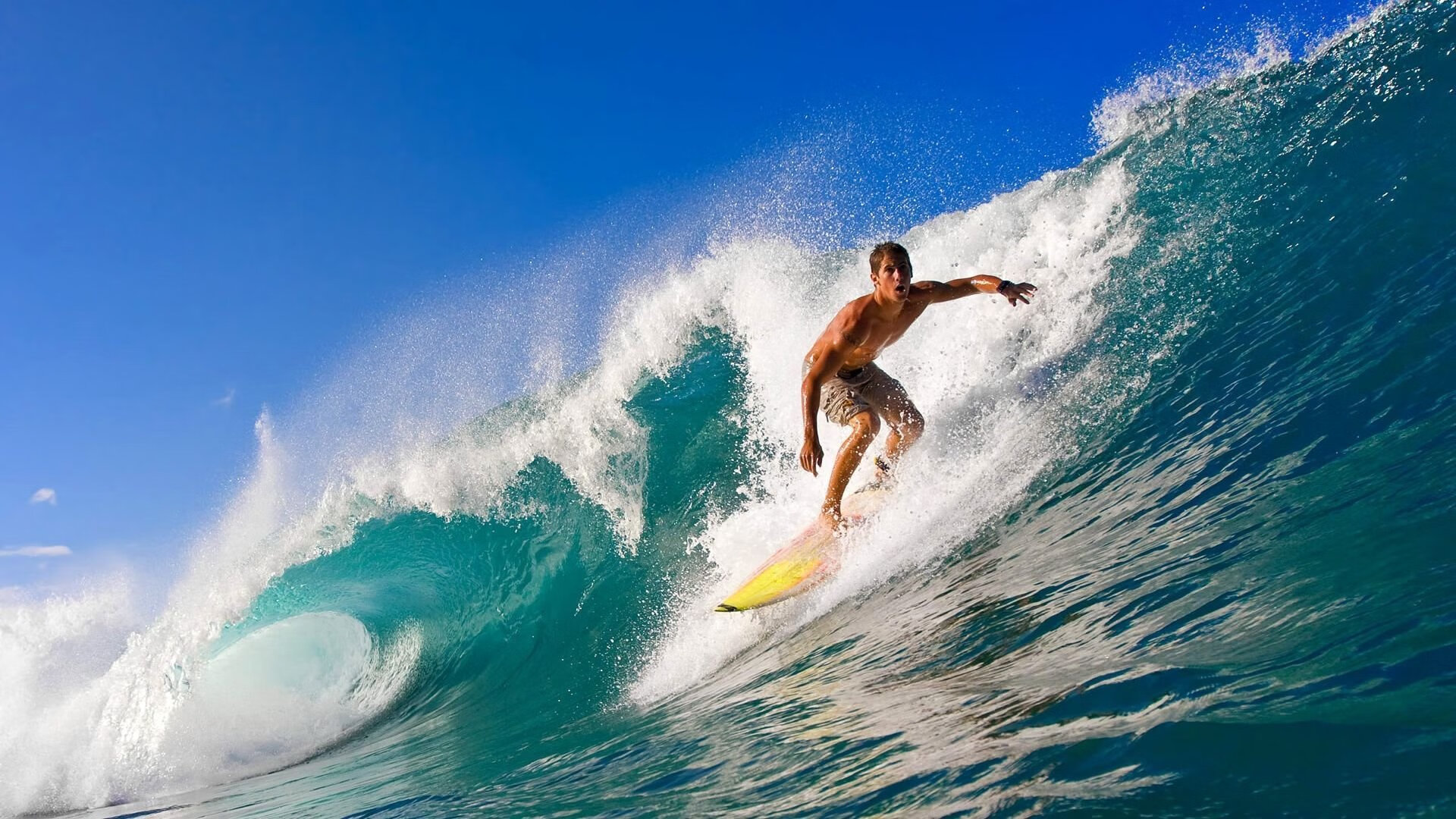 欧冠小组赛：阿贾克斯从垫底到第二上演“惊天逆袭” 四连胜收官晋级